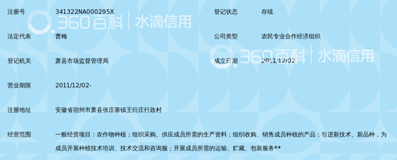 互联网探索之旅:苦梅网站的崛起