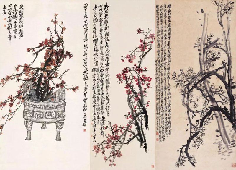 苦梅网:选购网络学习资源的完美指南